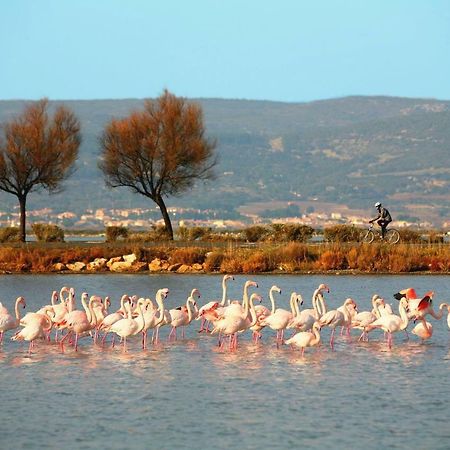 La Cabane Du Mas Andalou Plage Premiere Ligne De Mer Frontignan Εξωτερικό φωτογραφία