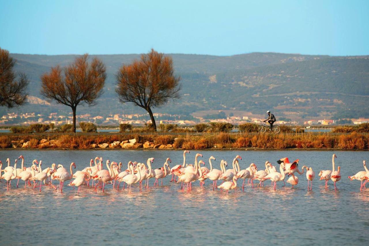 La Cabane Du Mas Andalou Plage Premiere Ligne De Mer Frontignan Εξωτερικό φωτογραφία